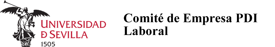 Comité de Empresa - PDI Laboral